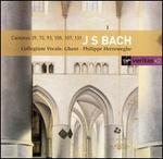 J.S. Bach: Cantatas 39, 73, 93, 105, 107, 131