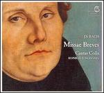 J.S. Bach: Missae Brevis - Cantus C�lln; Konrad Junghanel (conductor)