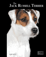 Jack Russell Terrier