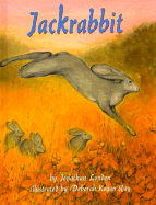 Jackrabbit