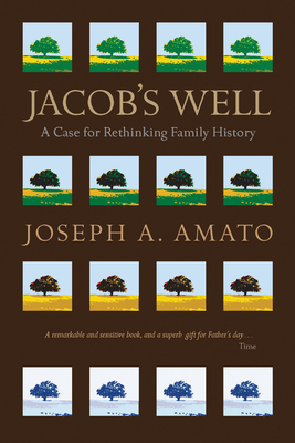 Jacob's Well: A Case for Rethinking Family History - Amato, Joseph A