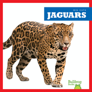 Jaguars