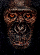 James and Other Apes