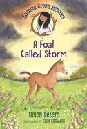 Jasmine Green Rescues: A Foal Called Storm