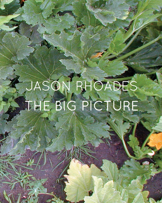 Jason Rhoades: The Big Picture - Rhoades, Jason (Artist), and McCarthy, Paul (Text by), and Meyer-Hermann, Eva (Text by)