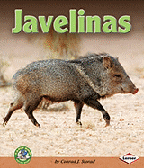Javelinas