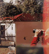 Jean Luc Mylane - Mylane, Jean Luc (Photographer), and Sultan, Terrie (Afterword by)
