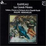 Jean-Philippe Rameau: Les Grands Motets - Guy de Mey (tenor); Henri Ledroit (counter tenor); Lieve Monbaliu (soprano); Peter Kooij (bass); Stephen Varcoe (baritone);...