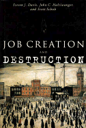 Job Creation and Destruction