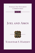 Joel and Amos: An Introduction and Commentary Volume 25