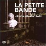 Johann Sebastian Bach: Motets  - La Petite Bande; Sigiswald Kuijken (conductor)