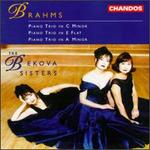 Johannes Brahms: Piano Trios