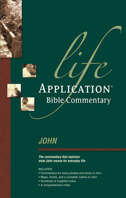 John - Livingstone (Creator), and Osborne, Grant R (Editor), and Comfort, Philip W (Editor)