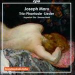 Joseph Marx: Trio-Phantasie; Wildgans-Lieder