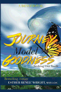 Journey Model Goodness: Seeking Our Truth