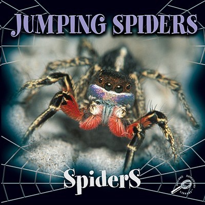 Jumping Spiders - Cooper, Jason