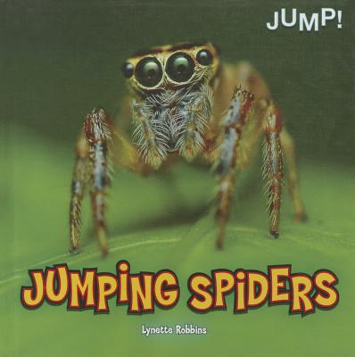 Jumping Spiders - Robbins, Lynette