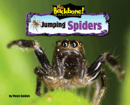 Jumping Spiders