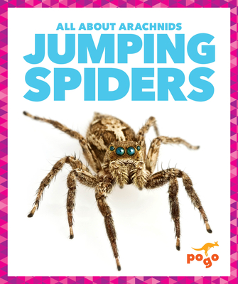 Jumping Spiders - Becker, Becca