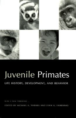 Juvenile Primates: Life History, Development, and Behavior - Pereira, Michael E (Editor)
