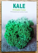 Kale: 30 recipes for preparing the wonderful brassica