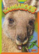 Kangaroos