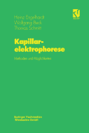 Kapillarelektrophorese: Methoden Und Moglichkeiten