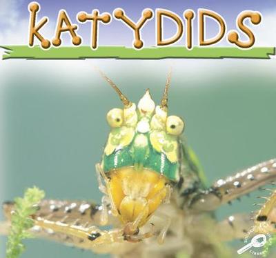 Katydids - Cooper, Jason