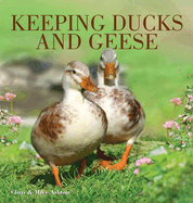 Keeping Ducks & Geese