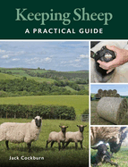 Keeping Sheep