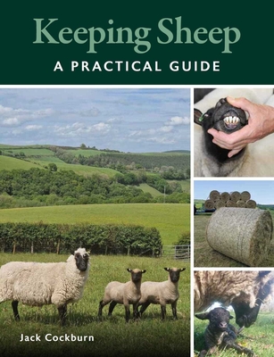 Keeping Sheep - Cockburn, Jack
