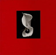 Kenro Izu: Still Life