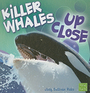 Killer Whales Up Close