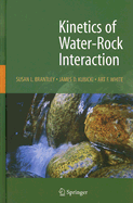 Kinetics of Water-Rock Interaction