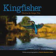 Kingfisher: Tales from the Halcyon River