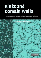 Kinks and Domain Walls