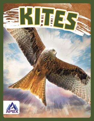 Kites - Stratton, Connor