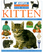 Kitten