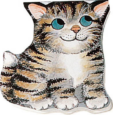 Kitten - 