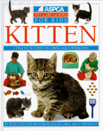 Kitten
