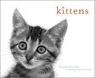 Kittens Notecards - Beals, Sharon