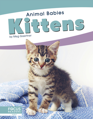Kittens - Gaertner, Meg