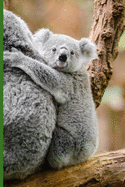 Koala B?ren Notizbuch