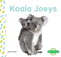 Koala Joeys