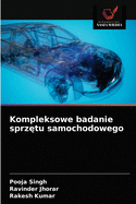 Kompleksowe badanie sprz tu samochodowego