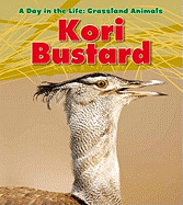 Kori Bustard