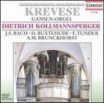 Krevese Gansen-Orgel