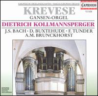 Krevese Gansen-Orgel - Dietrich Kollmannsperger (organ)