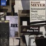 Krzysztof Meyer: Instrumental Music
