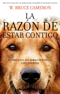 La Razon de Estar Contigo